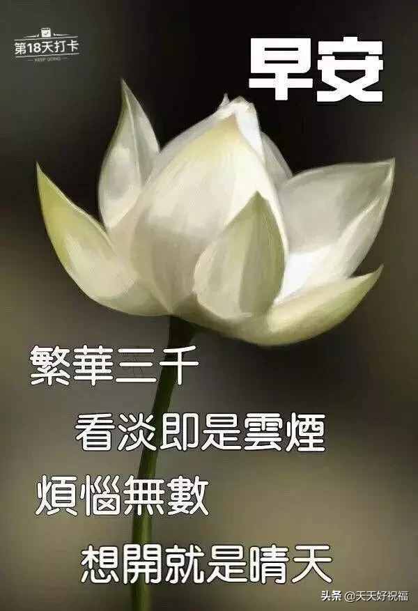 朋友圈日常祝福問(wèn)候語(yǔ)錄，溫馨的短信祝福語(yǔ)送給你