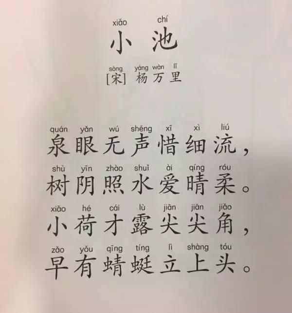 小學(xué)生一天背一首古詩(shī)詞⑤ 小池｜附詳細(xì)注釋與解析