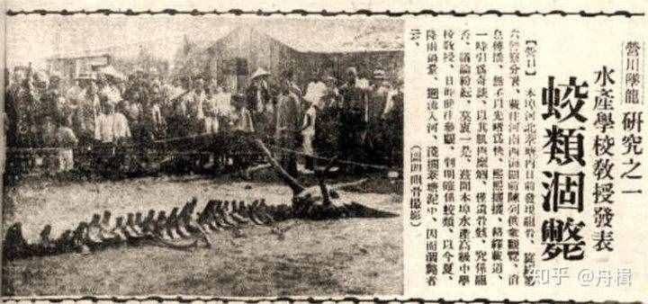 龍是真實(shí)存在的嗎，還是古人虛構(gòu)的，1934的營口墜龍事件是真是假？