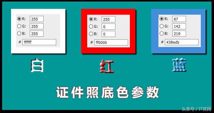 證件照的具體尺寸和顏色你知道嗎？