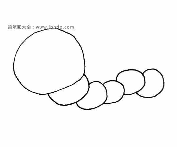 第二步：在后面畫上一個(gè)接一個(gè)的小圓，作為毛毛蟲的身體。