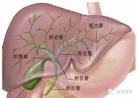 黃疸是怎么回事？