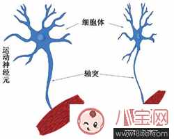 漸凍癥是什么病能治好嗎 漸凍癥在什么人群中常見