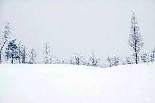 艾青：雪落在中國(guó)的土地上