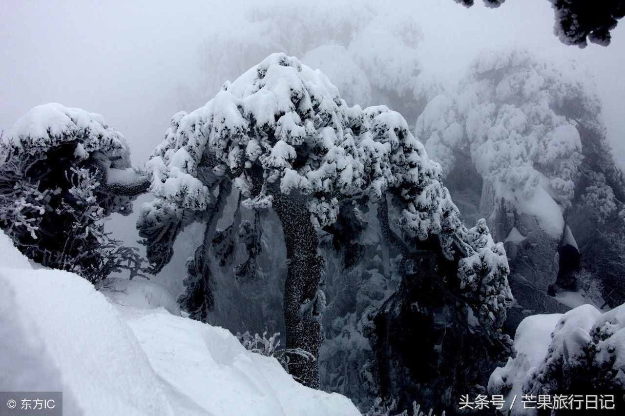 黃山有多美，旅行大神徐霞客說(shuō)：五岳歸來(lái)不看山，黃山歸來(lái)不看岳