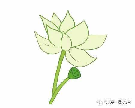 每天學(xué)一幅簡(jiǎn)筆畫(huà)--荷花簡(jiǎn)筆畫(huà)的畫(huà)法步驟