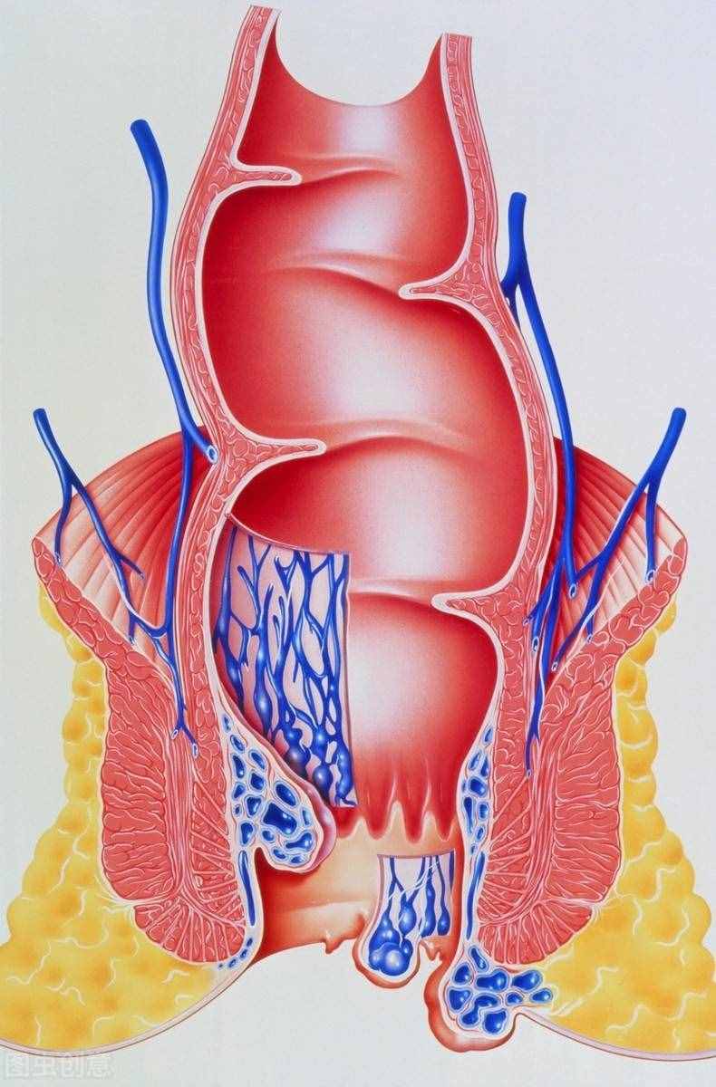 痔瘡出現(xiàn)肉球疼痛難忍，如何緩解消除？本文從2方面全面總結(jié)