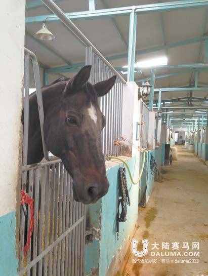 新疆烏魯木齊賽馬場變遷記