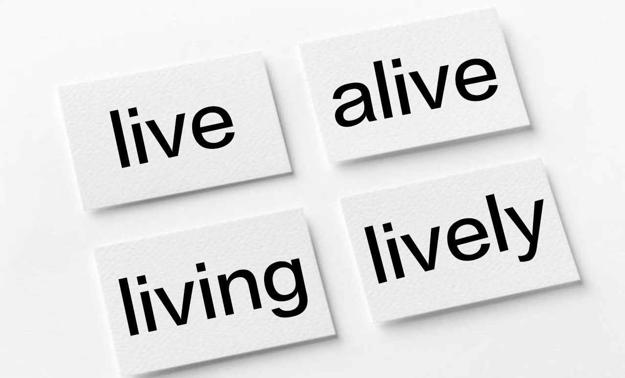 你真的會區(qū)分live、life、alive、living的用法嗎？