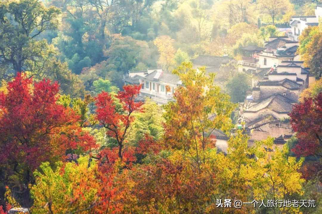 11月，全國最美的20個(gè)地方，哪個(gè)最讓你心動(dòng)