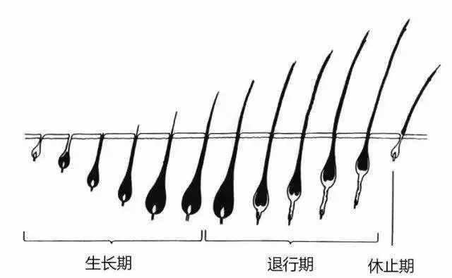 脫毛怎么都做不對？那是你選錯了方法