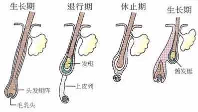 脫毛怎么都做不對？那是你選錯了方法