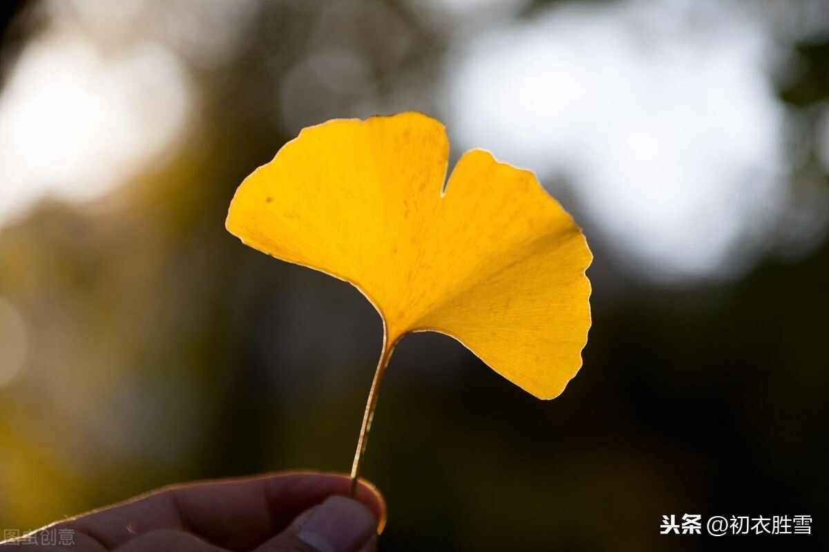 最美秋詞：黃葉無風(fēng)自落，彩云不雨空歸，背后有一則凄婉故事