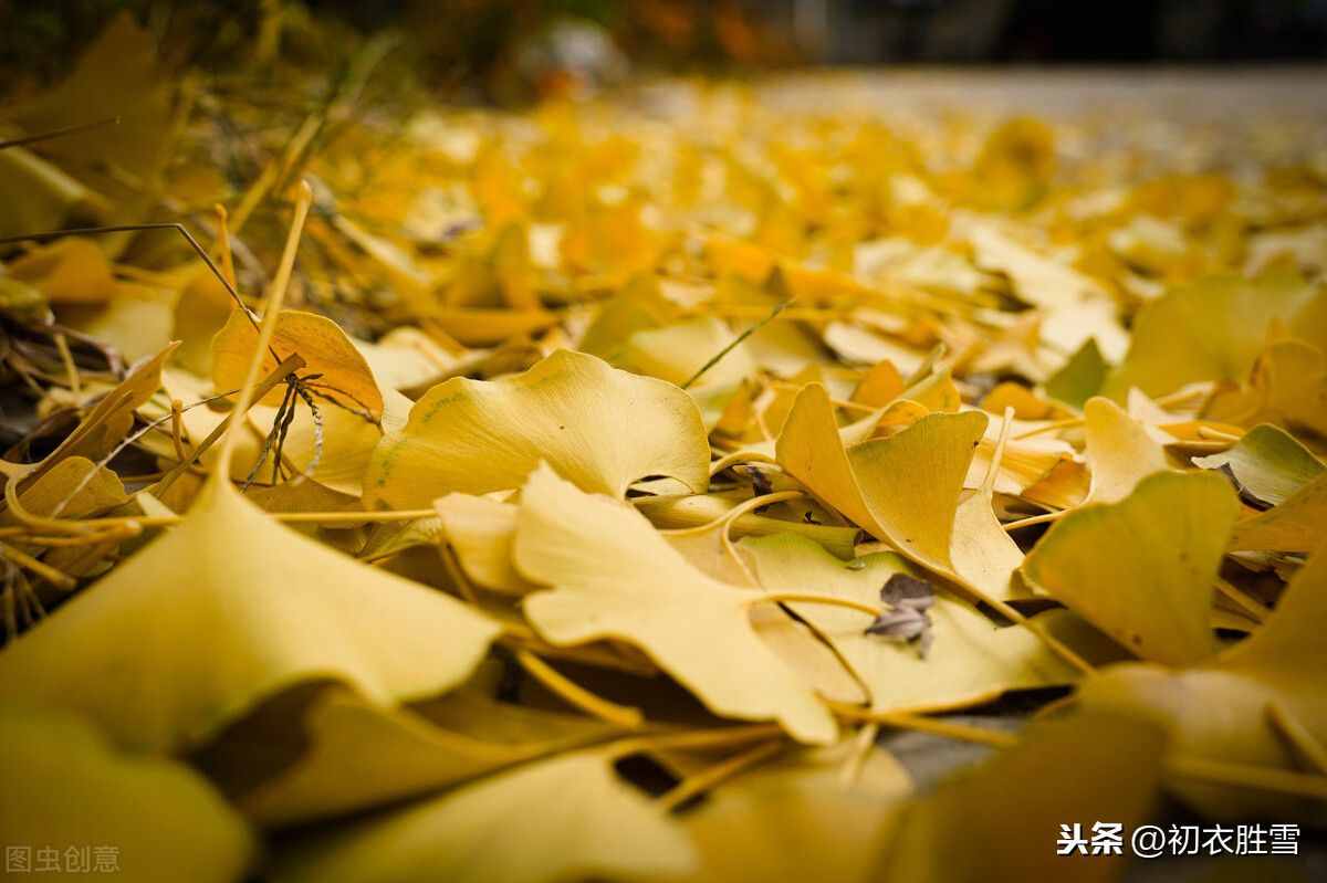 最美秋詞：黃葉無風(fēng)自落，彩云不雨空歸，背后有一則凄婉故事