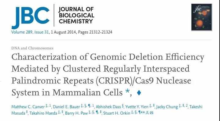 CRISPR/Cas9敲除LncRNA或者外顯子的效率是多少？