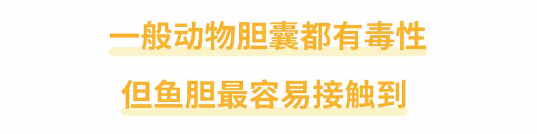 還有人不知道嗎？魚膽不是治病偏方，它有毒