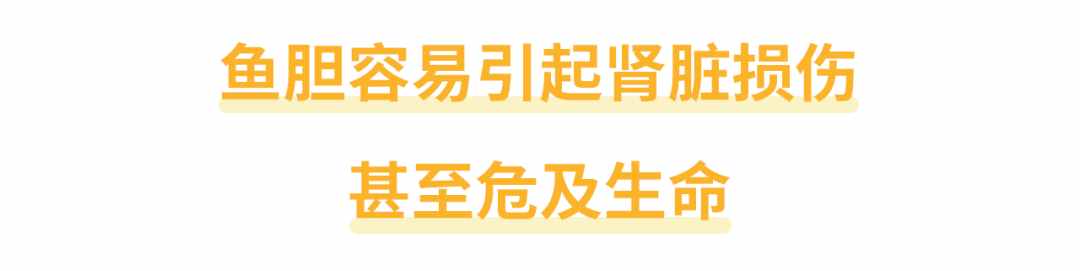 還有人不知道嗎？魚膽不是治病偏方，它有毒