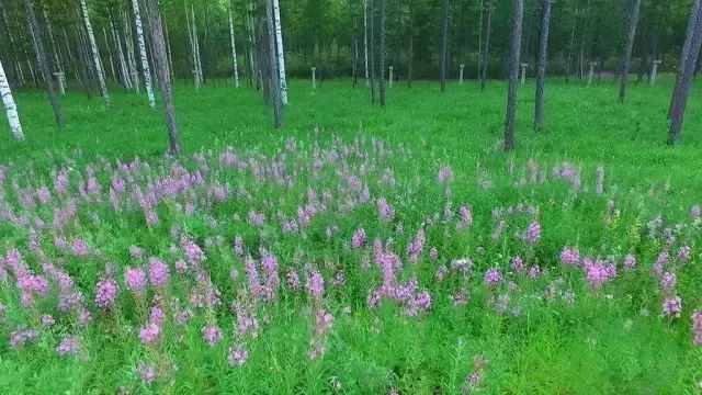 自駕游長白山就該這么走~讓你一路欣賞延邊別樣的美景