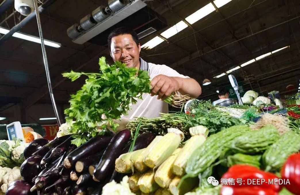 可有放心菜？健康的菜籃子，承載一個(gè)小家最平凡的幸福