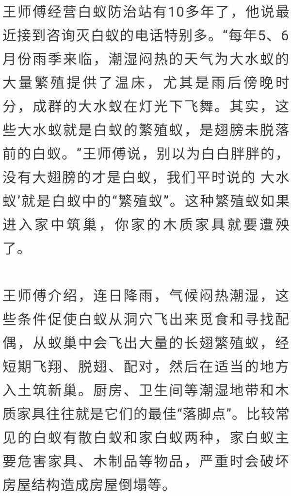 妙招｜白蟻“大軍”入侵家里？這個消滅辦法很有效！