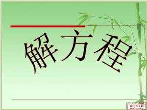 數(shù)學(xué)小論文——奇妙的“方程”