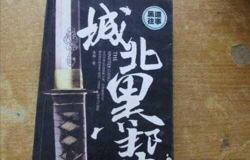 黑道小說排行榜前10名，巔峰時刻讓你熱血沸騰。