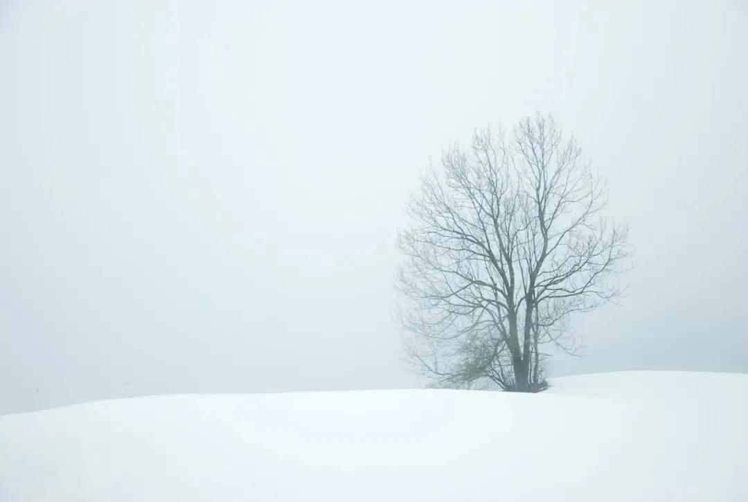 雪景拍攝技巧，教你輕松拍出雪景大片