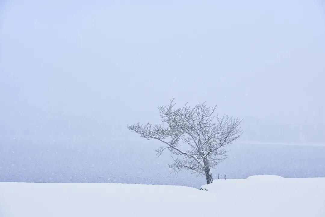 雪景拍攝技巧，教你輕松拍出雪景大片