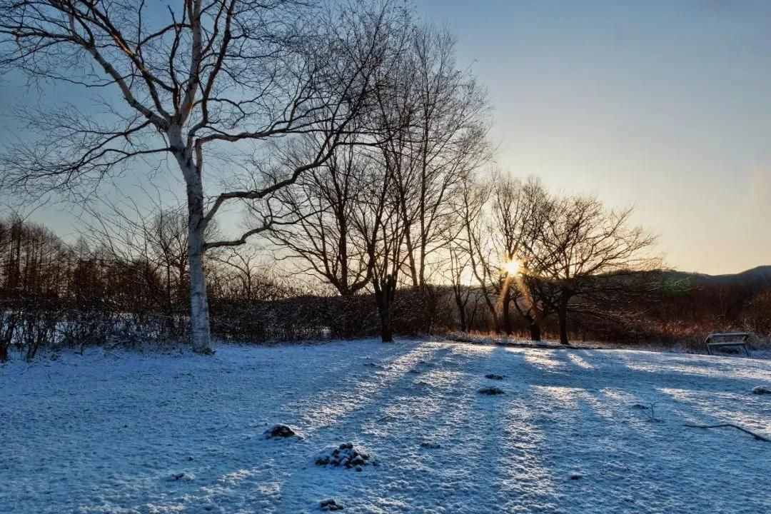 雪景拍攝技巧，教你輕松拍出雪景大片