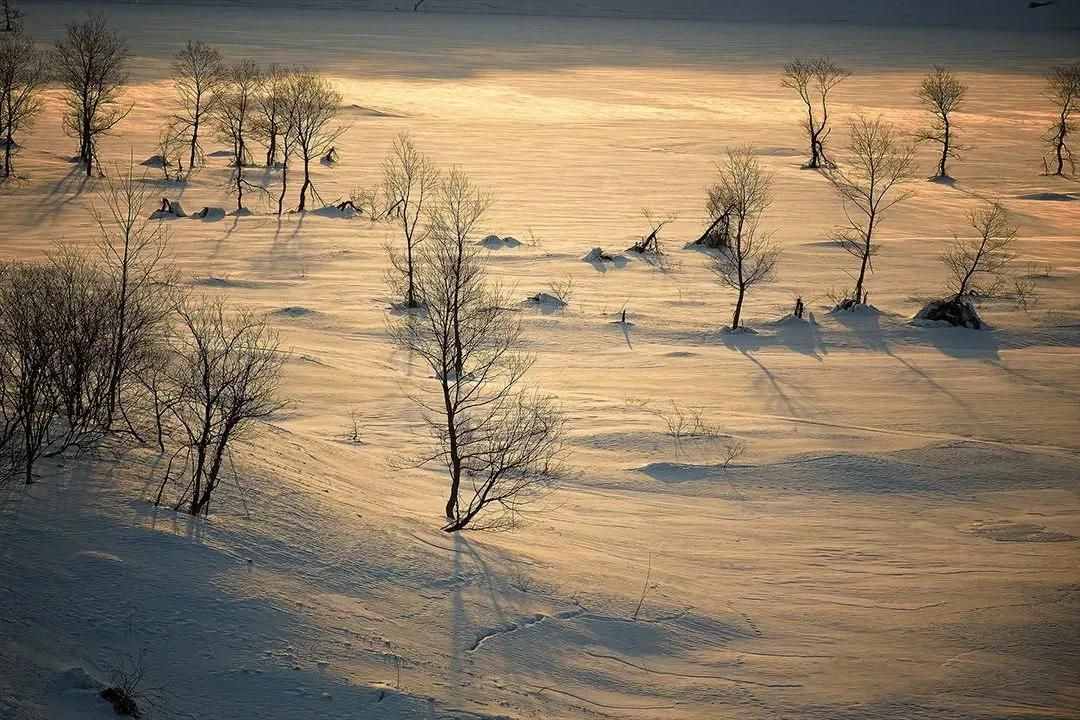 雪景拍攝技巧，教你輕松拍出雪景大片