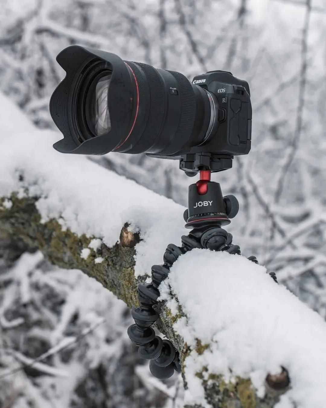 雪景拍攝技巧，教你輕松拍出雪景大片