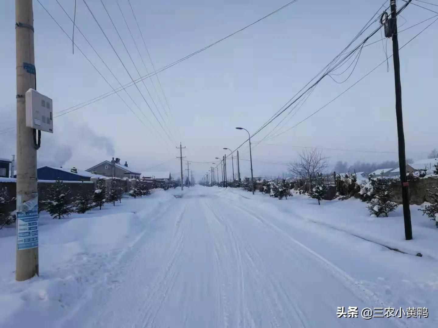 六月飛雪？天氣異常，農(nóng)民：今年夏天熱不熱？