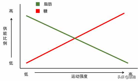 最新大數(shù)據(jù)研究證實：跑步是最有效的減肥運動，無論你是何種體質(zhì)