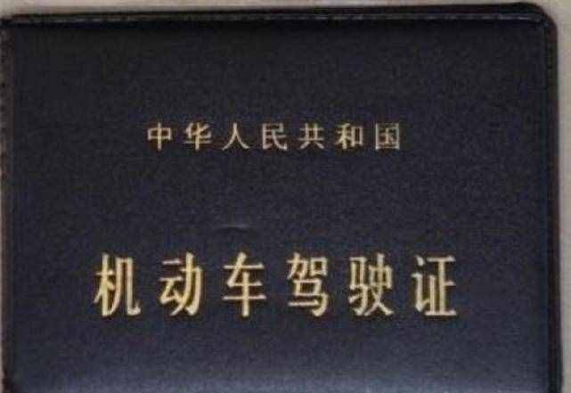 考駕照最新色彩檢測，五個盤子都能看出來嗎？老司機也可以再試試