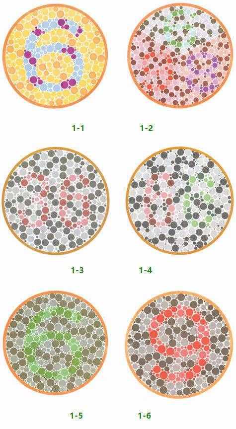 考駕照最新色彩檢測，五個盤子都能看出來嗎？老司機也可以再試試