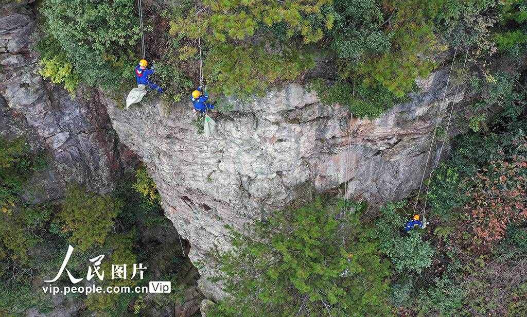 湖南張家界：行走絕壁撿垃圾 保護(hù)生態(tài)環(huán)境