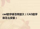 cad的字體怎樣放大（CAD的字體怎么安裝）