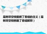 霜樹盡空枝腸斷丁香結(jié)的含義（霜樹盡空枝斷腸丁香結(jié)解釋）