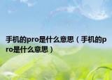 手機(jī)的pro是什么意思（手機(jī)的pro是什么意思）