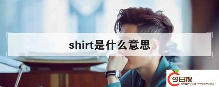 shirt是什么意思