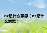 nz是什么意思（nz是什么意思）