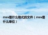 msv是什么格式的文件（msv是什么單位）