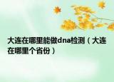 大連在哪里能做dna檢測（大連在哪里個(gè)省份）