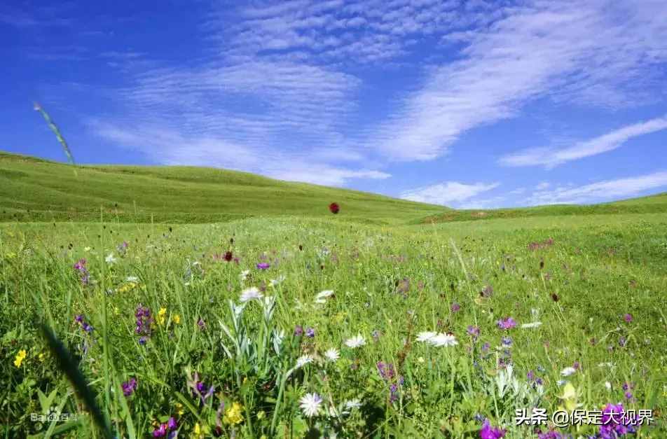 河北人不用去內(nèi)蒙古，就在保定立馬空中看草原??！