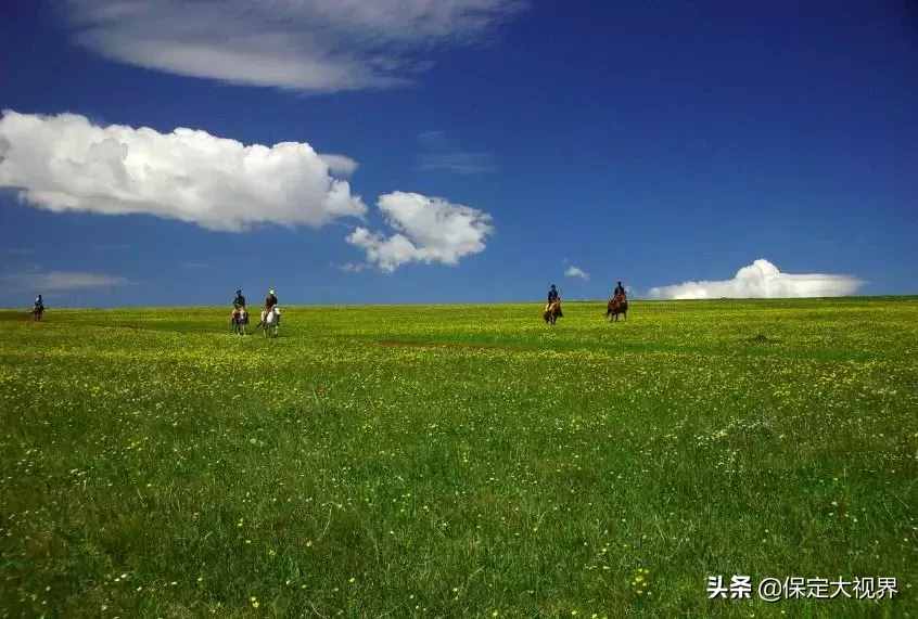 河北人不用去內(nèi)蒙古，就在保定立馬空中看草原??！