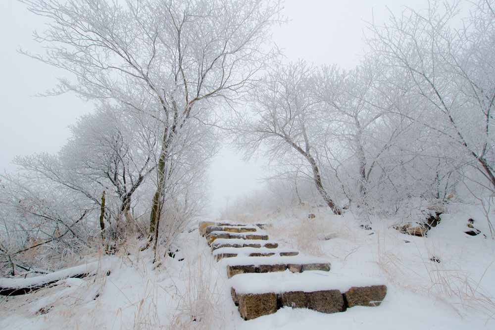 囊螢映雪中的主人公，小時候不向命運低頭，長大后卻被逼自殺