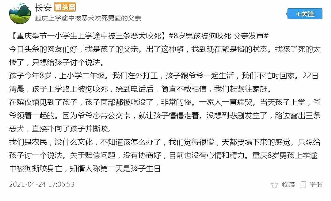 重慶8歲男童遭3只惡犬咬傷身亡！狗主人養(yǎng)犬喂生肉不栓繩，目前惡犬均被捕殺