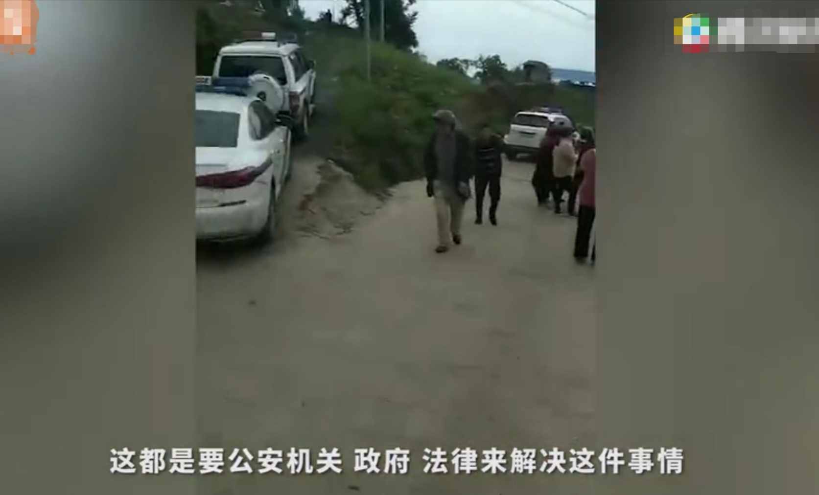 重慶8歲男童遭3只惡犬咬傷身亡！狗主人養(yǎng)犬喂生肉不栓繩，目前惡犬均被捕殺