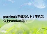 purnhurb手機(jī)怎么上（手機(jī)怎么上Purnhub站）