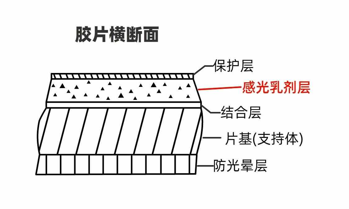 一看就懂：沖洗底片和照片的原理